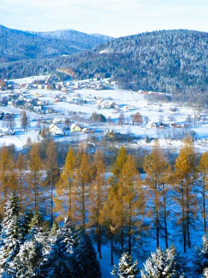 Osrodek Uzdrowiskowy Beskid Otel Wysowa-Zdrój Dış mekan fotoğraf