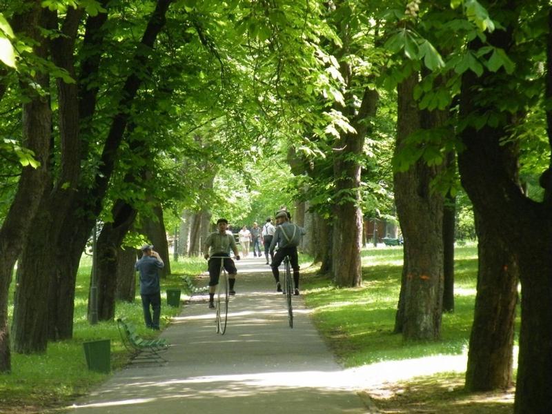 Osrodek Uzdrowiskowy Beskid Otel Wysowa-Zdrój Dış mekan fotoğraf